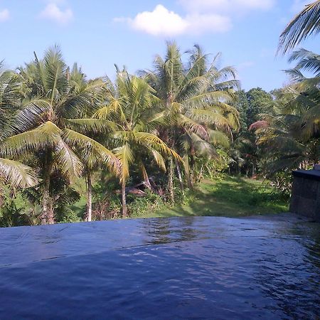 Dewa House Bisma Hotel Ubud  Luaran gambar