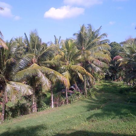 Dewa House Bisma Hotel Ubud  Luaran gambar