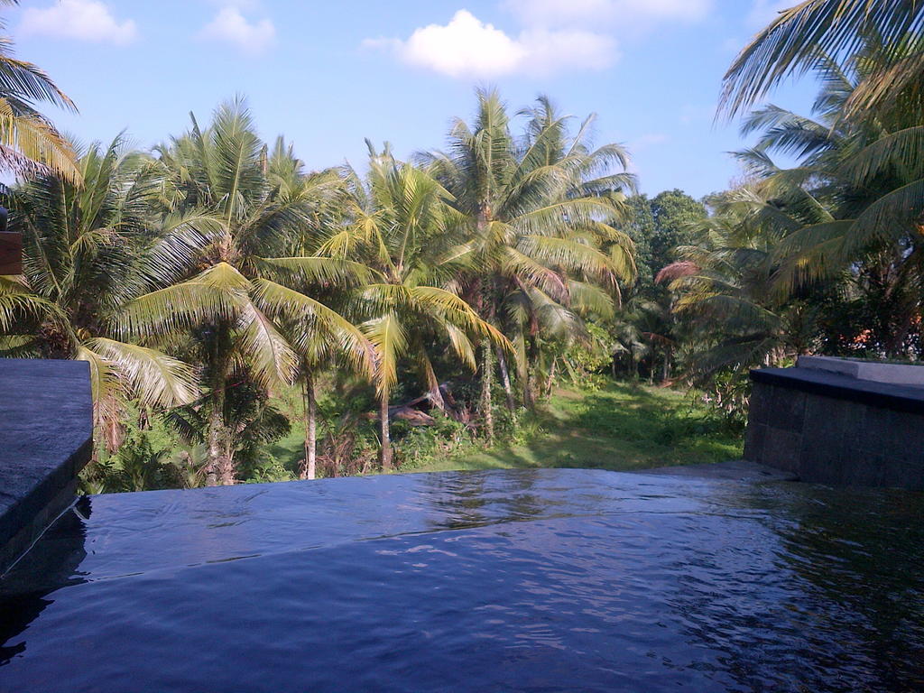 Dewa House Bisma Hotel Ubud  Luaran gambar