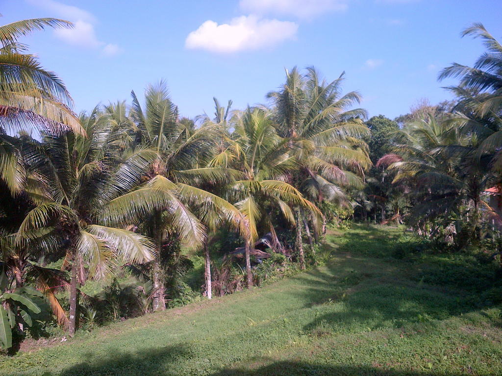 Dewa House Bisma Hotel Ubud  Luaran gambar