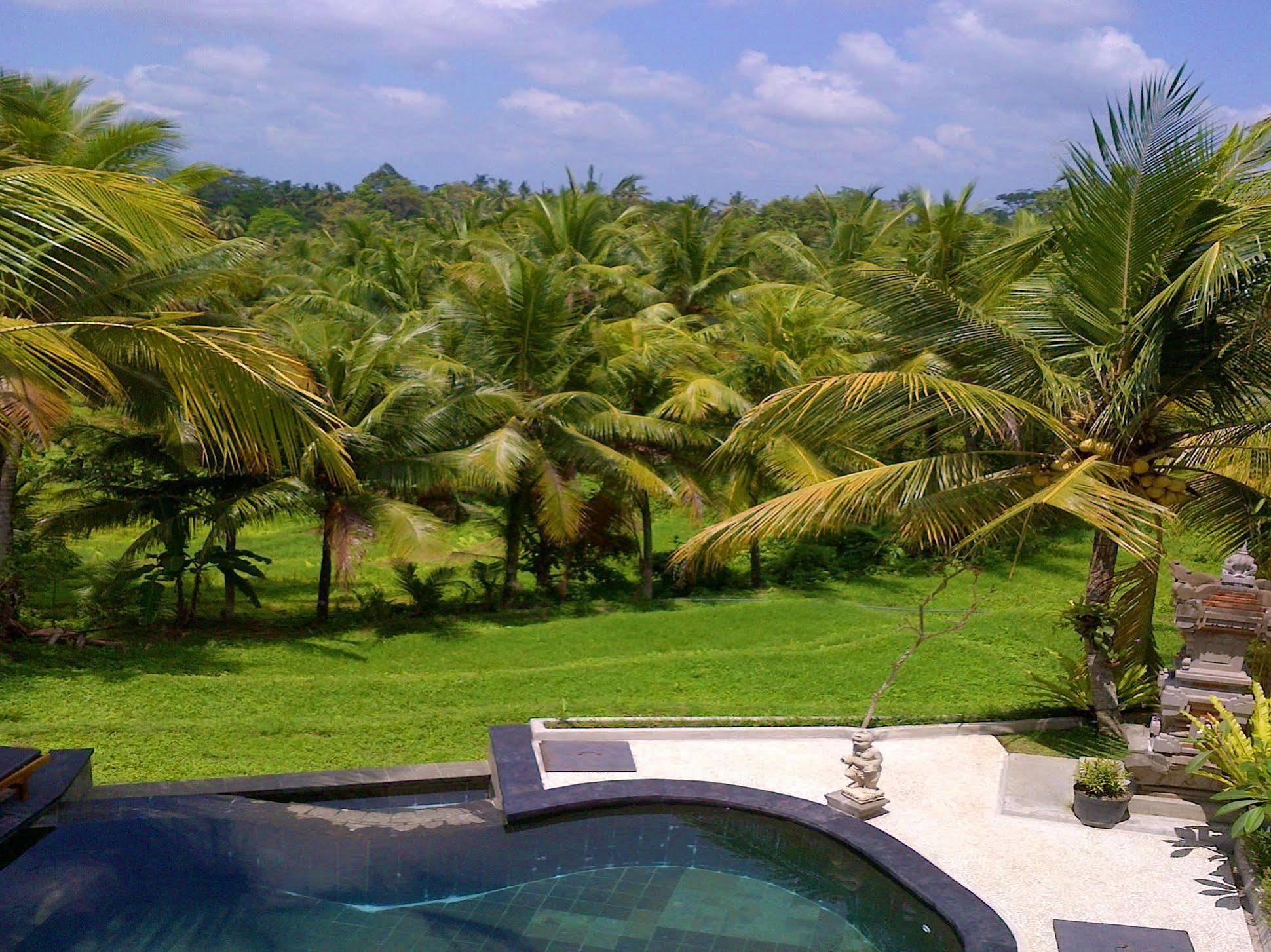 Dewa House Bisma Hotel Ubud  Luaran gambar
